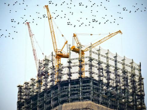 Grúas en una obra de construcción de edificios